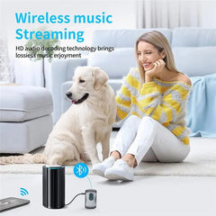 Hoco - BT Audio Transmitter (E73)