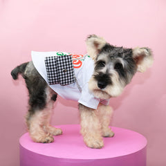 Cat Dog Small Dog Pet Backpack Dog Schoolbag Accessories Pet Accessories