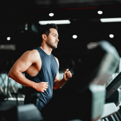 Waxy Maize - Carbohydrate Supplement (Original)